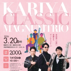 マグナムトリオ 画像